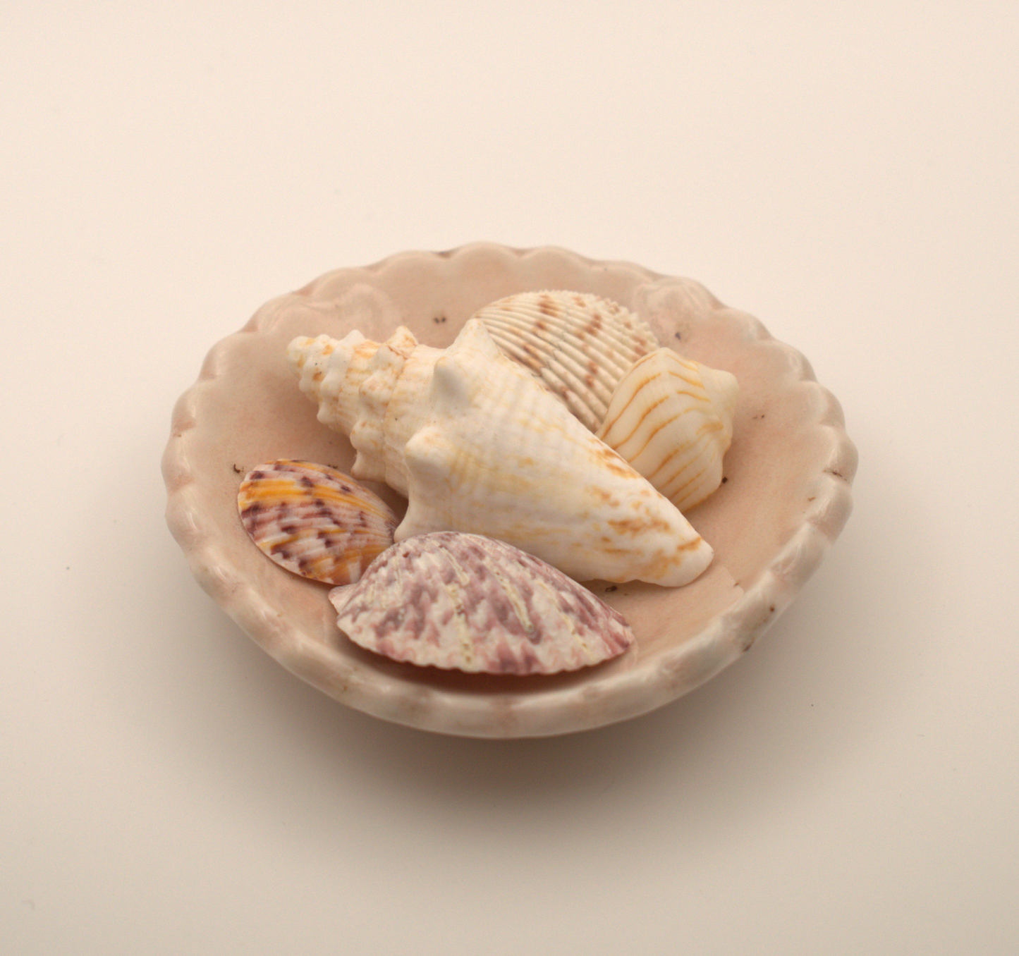 Scalloped Dish